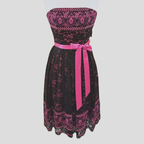 Vtg Betsey Johnson Black Pink Dress 6 Lace Overlay Embroidered Whimsigoth New - Picture 3 of 16